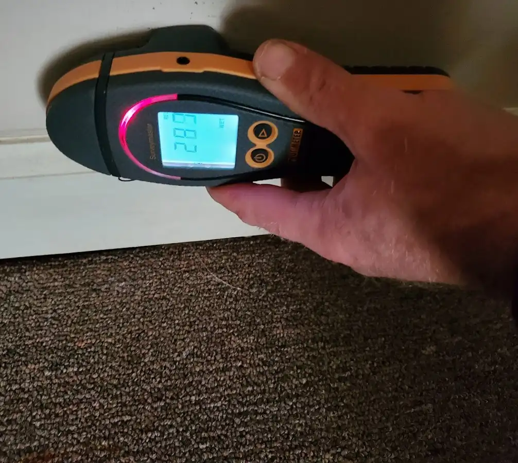 Moisture detection at baseboard during Sewage Cleanup & Sanitation in River Road
